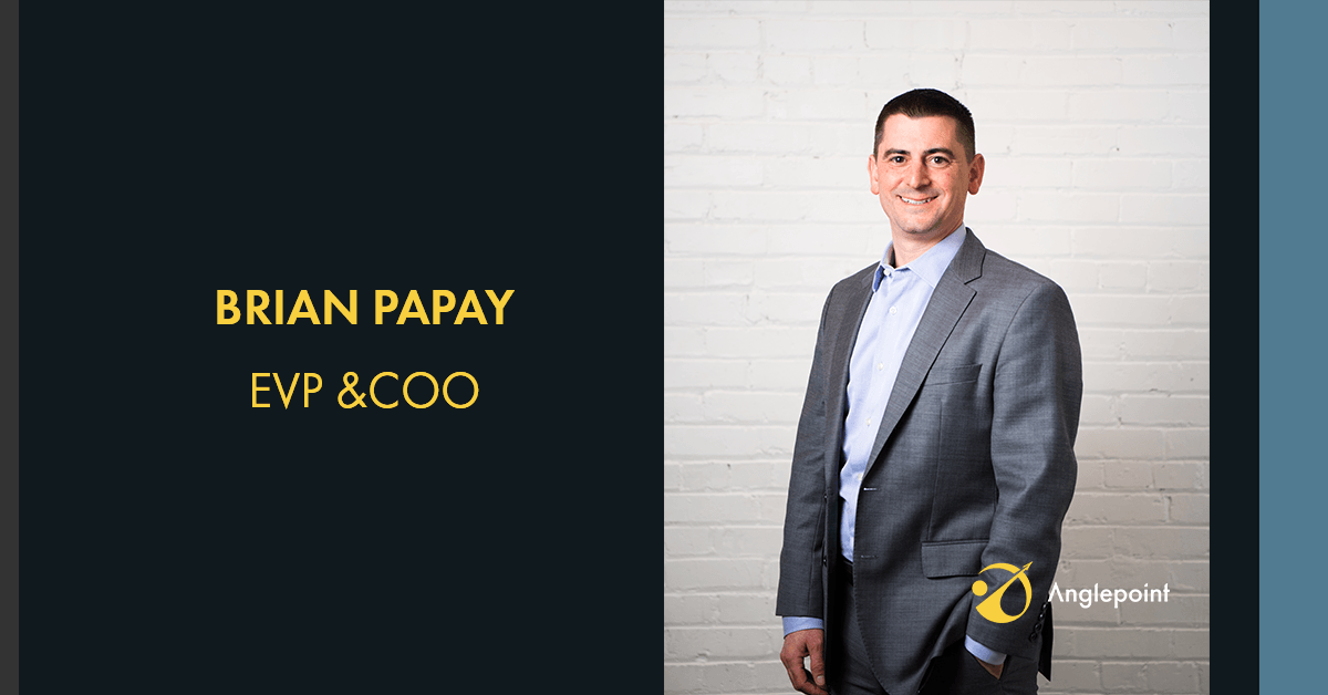 Brian Papay Anglepoint COO
