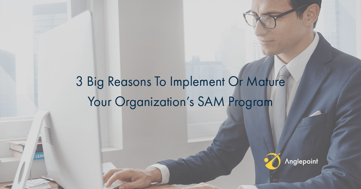 3 Big Reasons To Implement Or Mature SAM Program Header Image