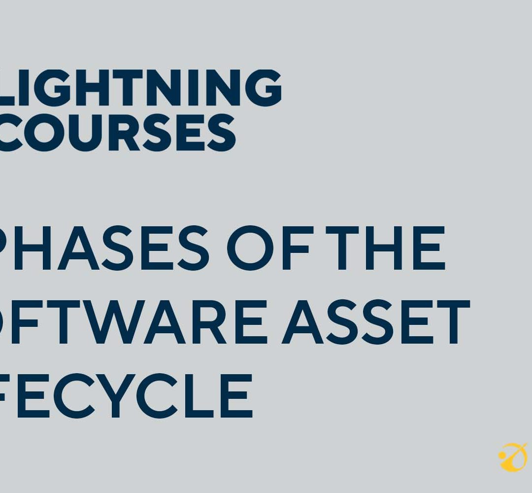 The 6 Phases of the Software Asset Lifecycle