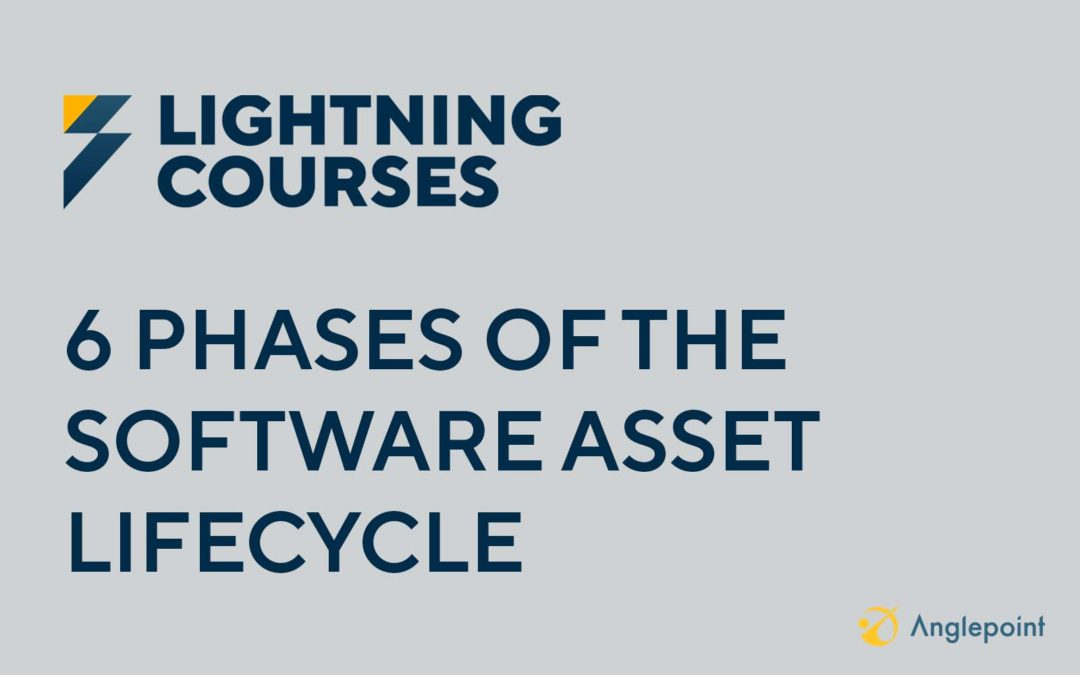 The 6 Phases of the Software Asset Lifecycle
