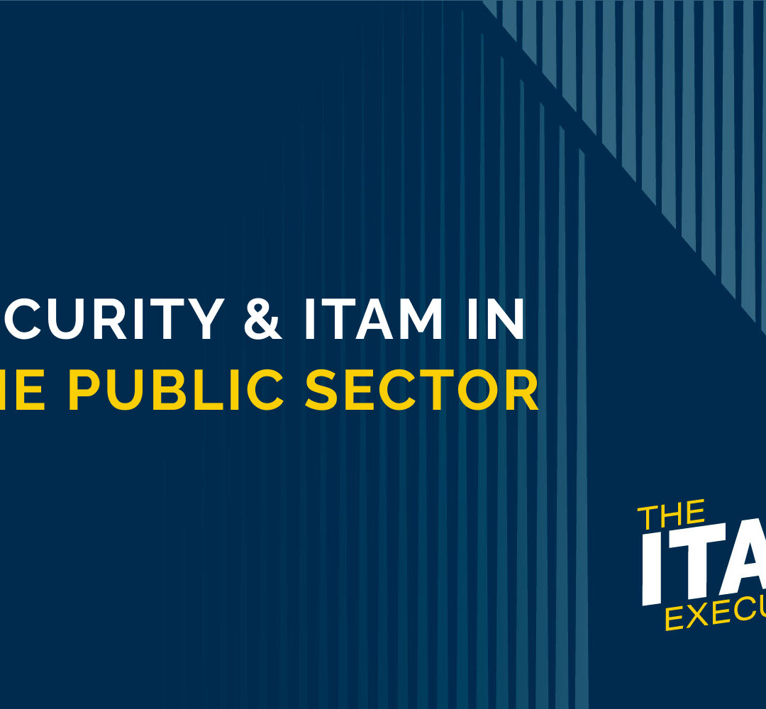 Security & ITAM in the Public Sector
